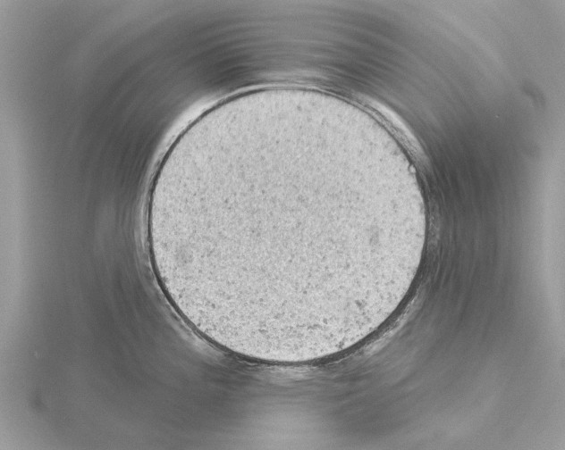 X0000115031196200912071042