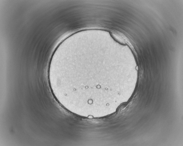 X0000115031197200912071042