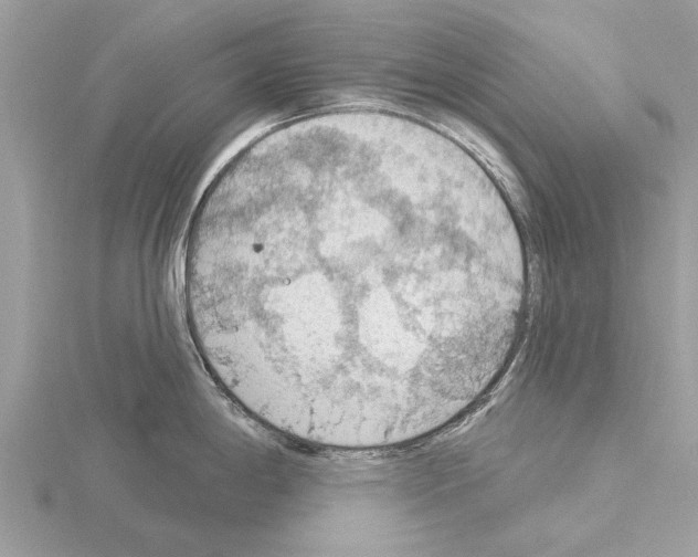 X0000115031198200912071042