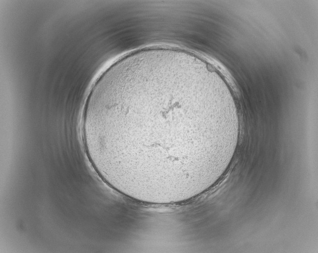 X0000115031199200912071042