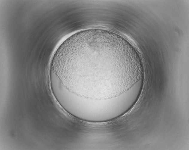 X0000115031200200912071042