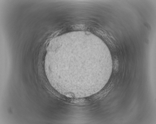 X0000115031201200912071041