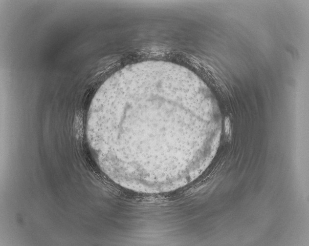 X0000115031203200912071041