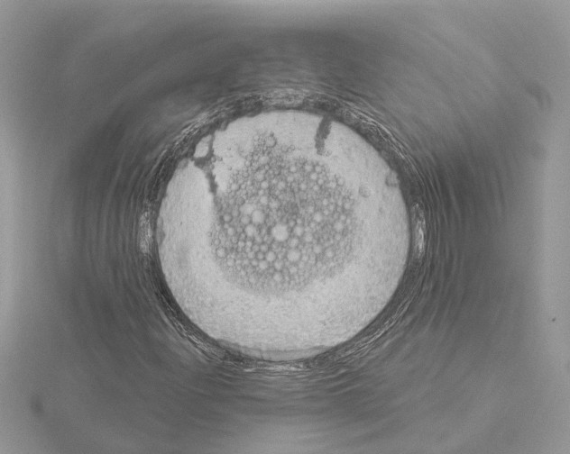 X0000115031204200912071041