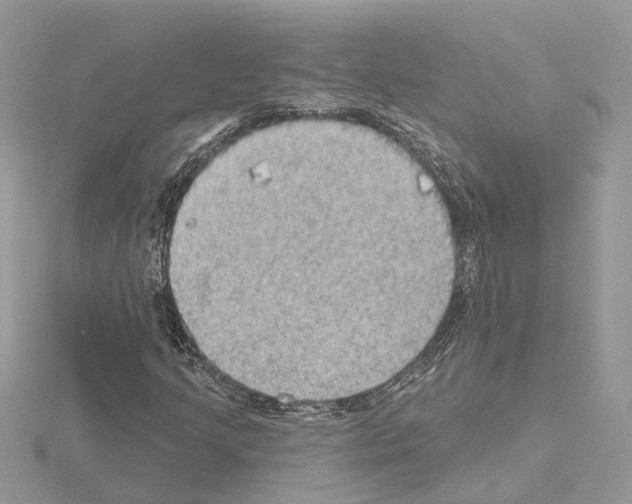 X0000115031205200912071041