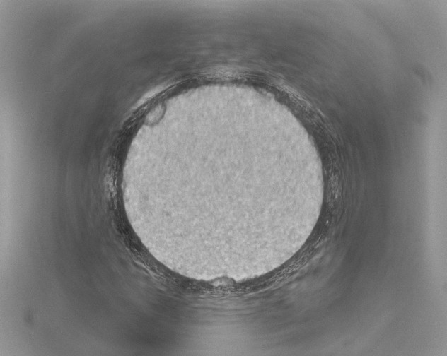 X0000115031206200912071041