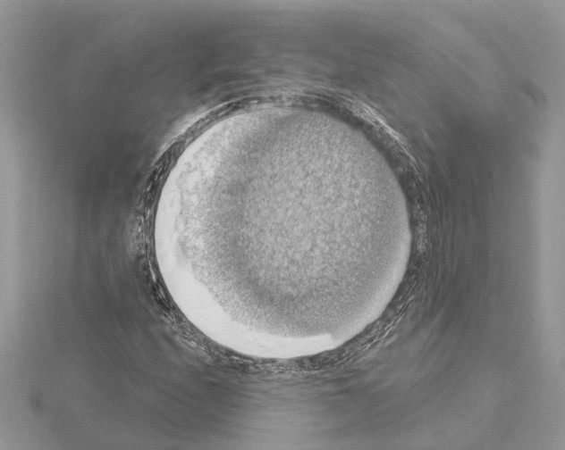 X0000115031208200912071041