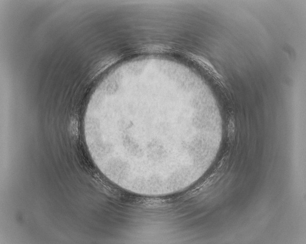 X0000115031209200912071041