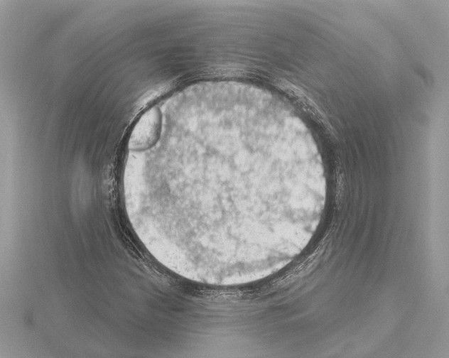 X0000115031210200912071041