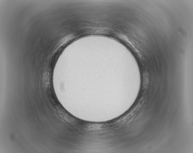 X0000115031211200912071041