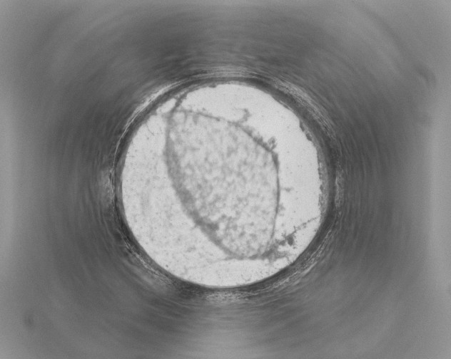 X0000115031212200912071041