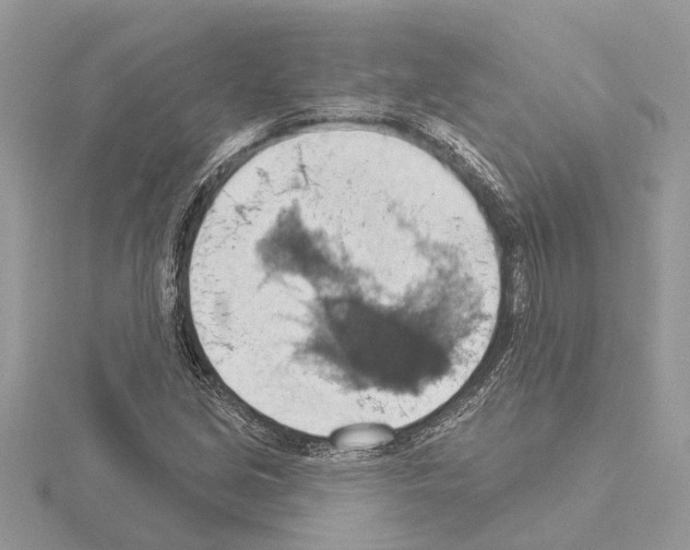 X0000115031213200912071041