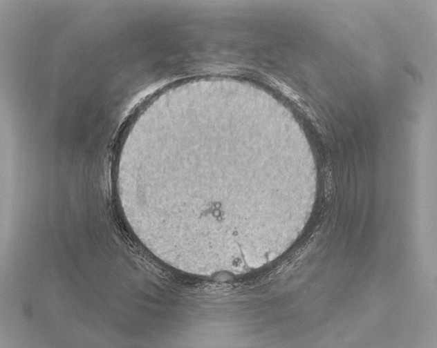 X0000115031214200912071041