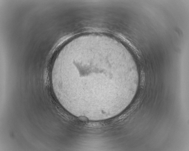 X0000115031215200912071041