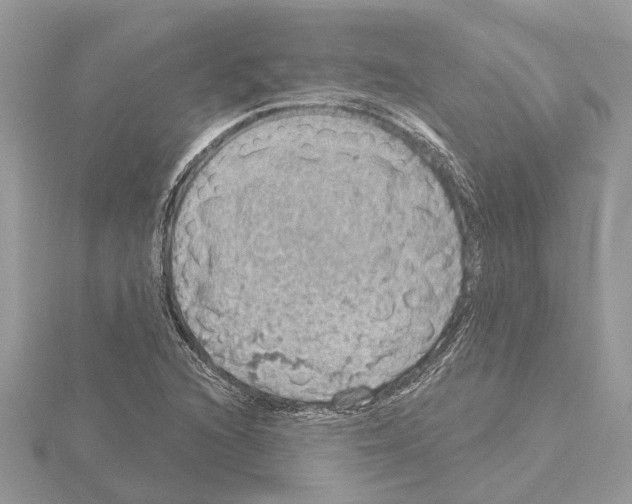 X0000115031216200912071041