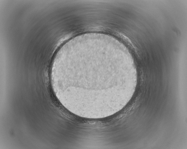 X0000115031218200912071041