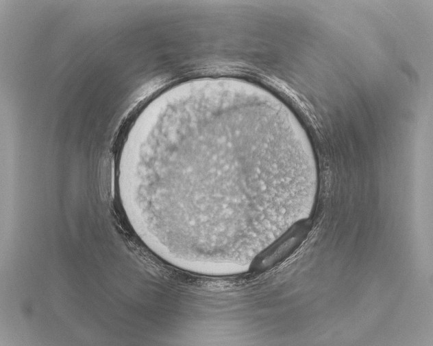 X0000115031219200912071041