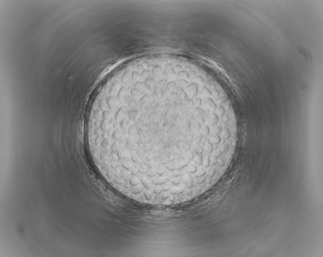 X0000115031220200912071041