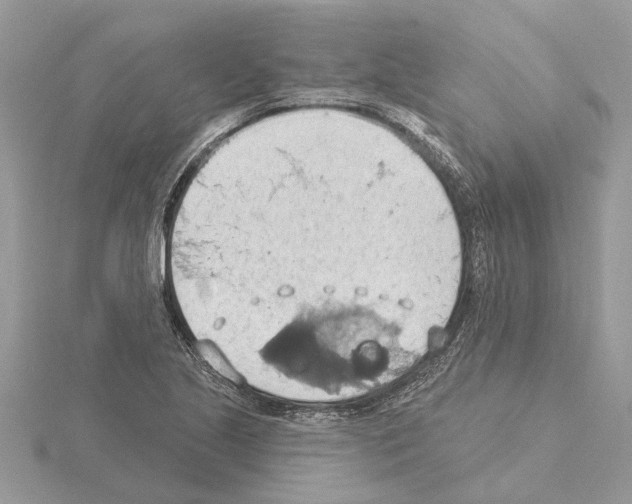 X0000115031221200912071041