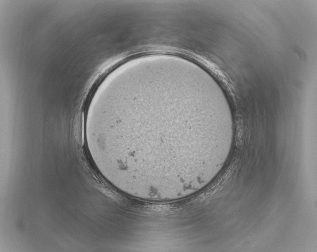 X0000115031223200912071041