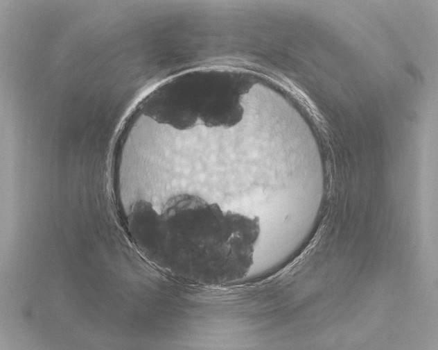 X0000115031224200912071041