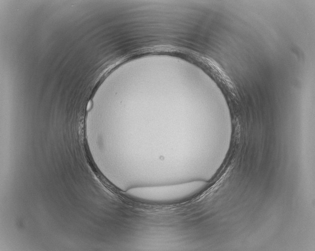 X0000115031225200912071041