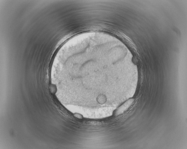 X0000115031226200912071041