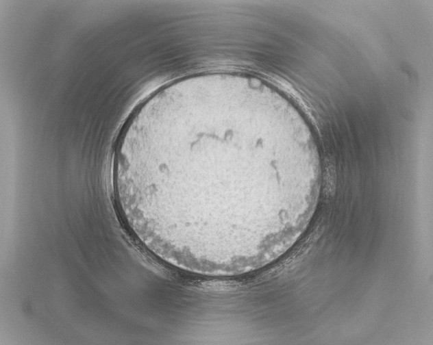 X0000115031227200912071041