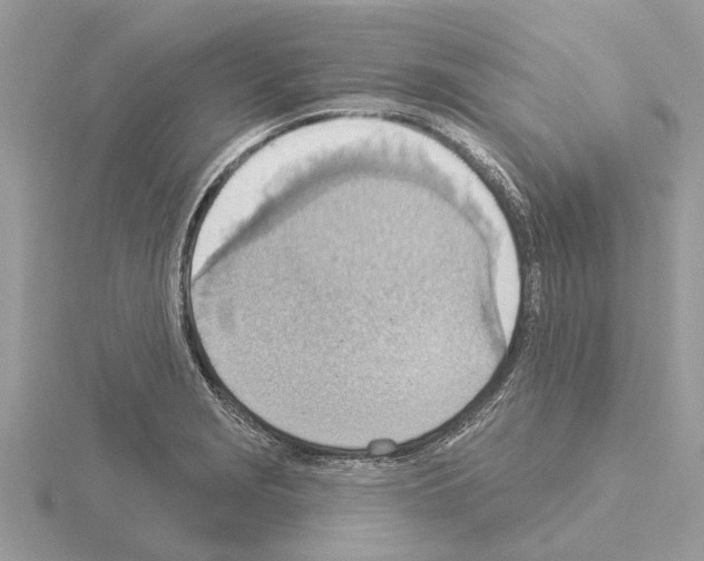 X0000115031229200912071041