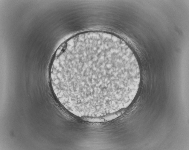 X0000115031230200912071041