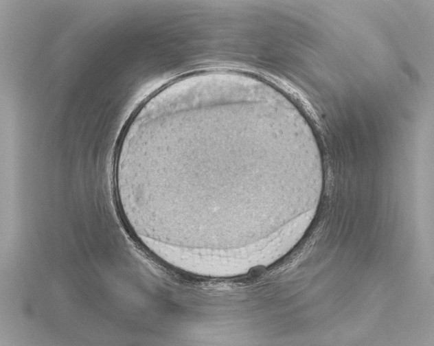 X0000115031231200912071041