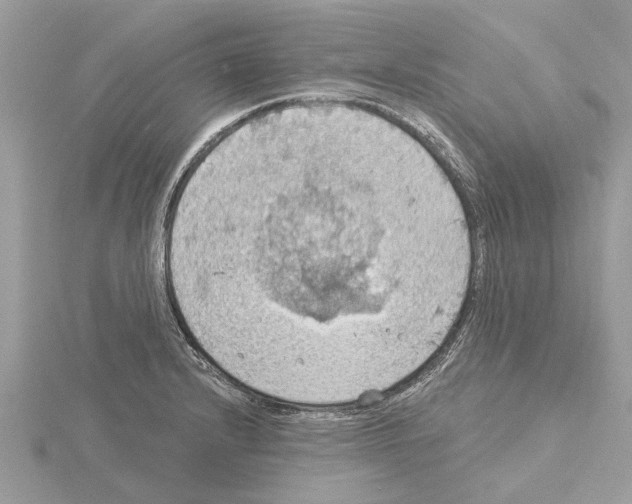 X0000115031232200912071041