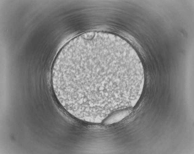 X0000115031234200912071041