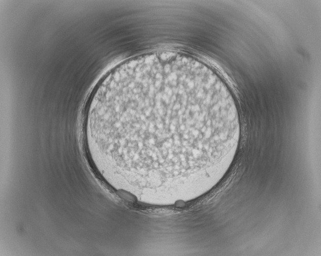 X0000115031235200912071041