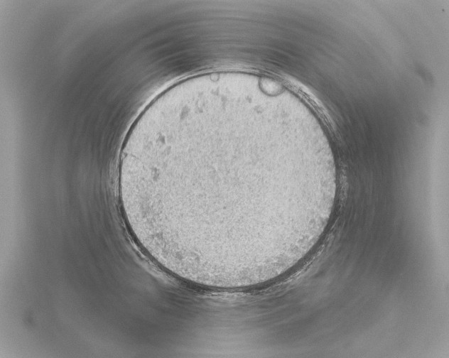 X0000115031236200912071041