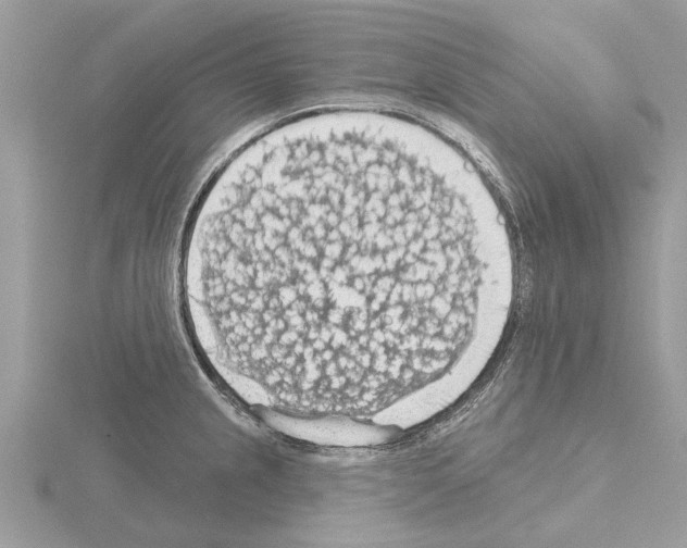 X0000115031237200912071041