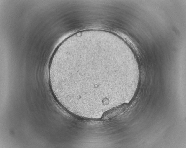 X0000115031238200912071041