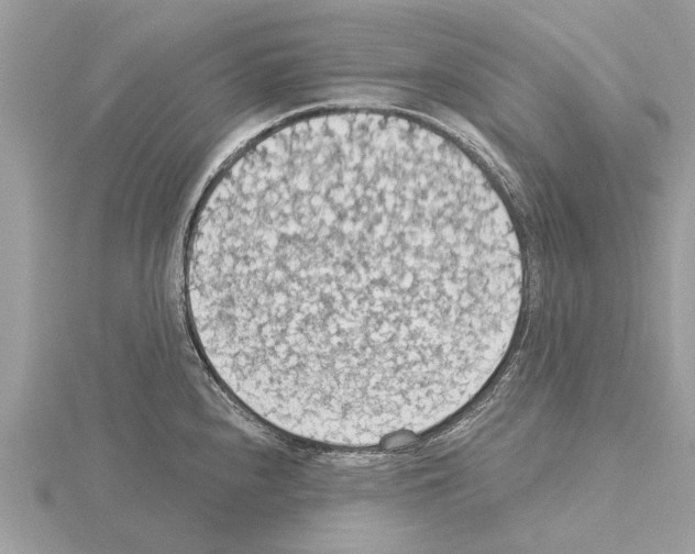 X0000115031240200912071041