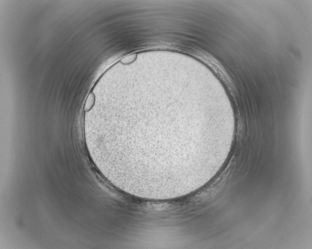 X0000115031242200912071041