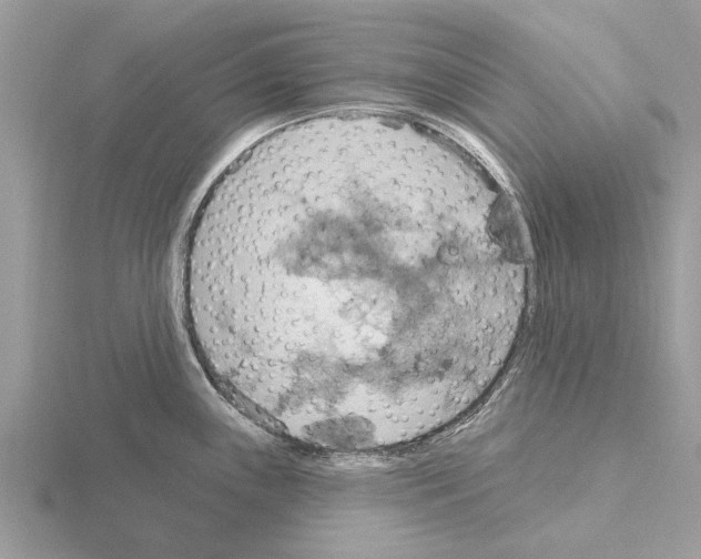 X0000115031243200912071041