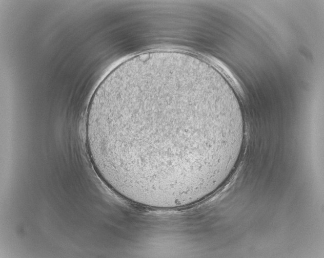 X0000115031244200912071041