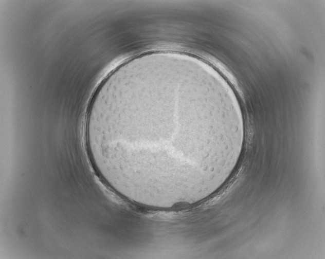 X0000115031245200912071042