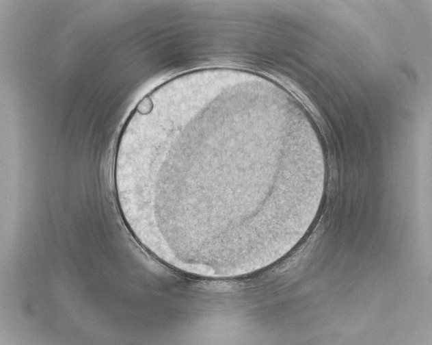 X0000115031246200912071042