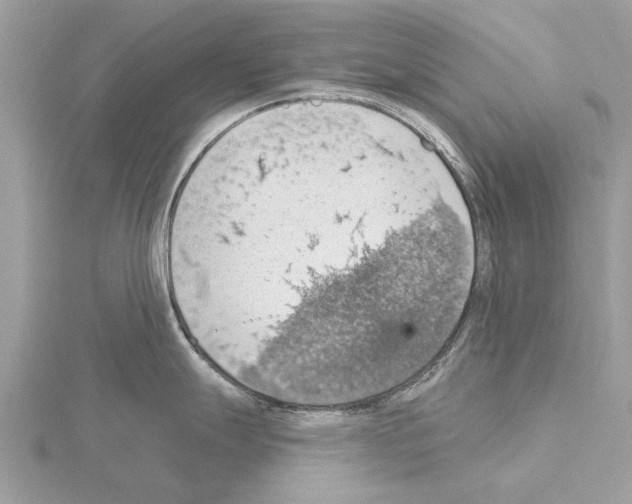 X0000115031247200912071042