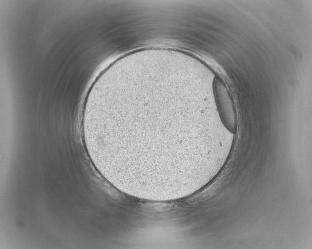 X0000115031248200912071042