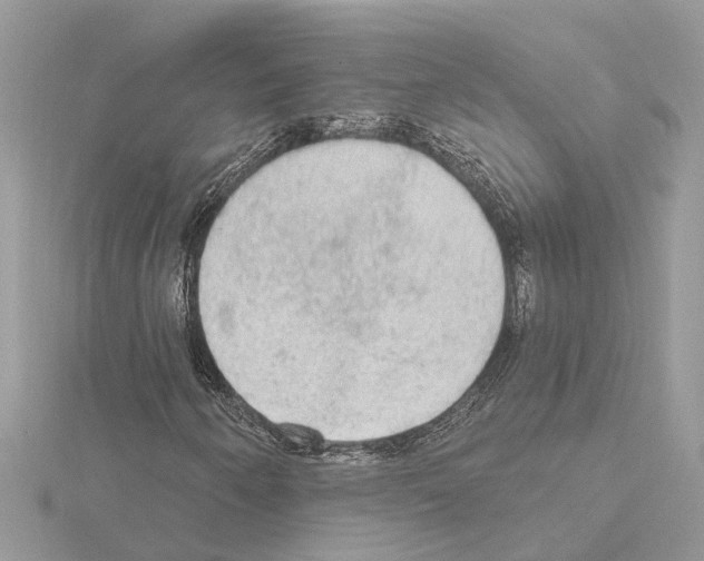 X0000115031250200912071041