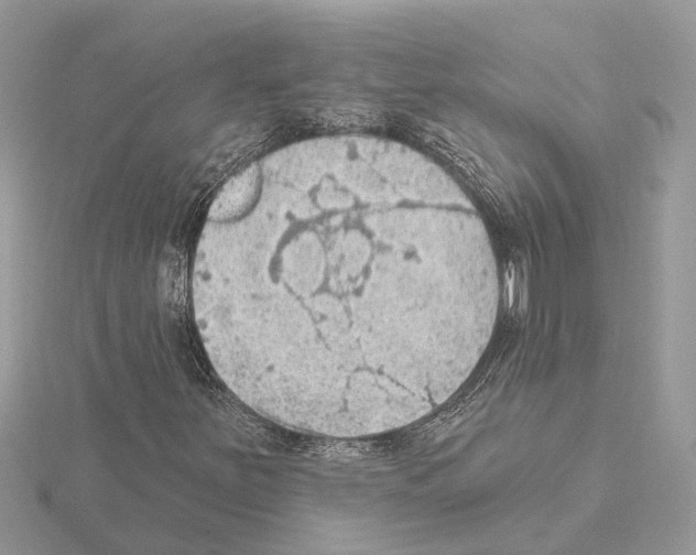 X0000115031251200912071041