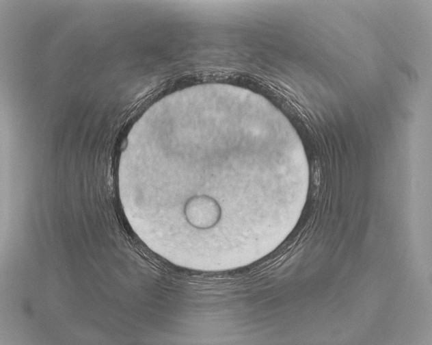 X0000115031252200912071041