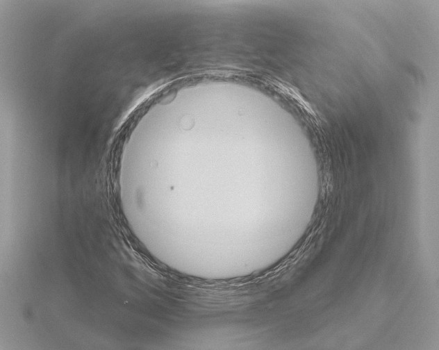 X0000115031256200912071041