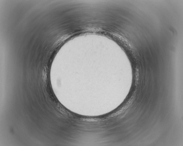 X0000115031257200912071041